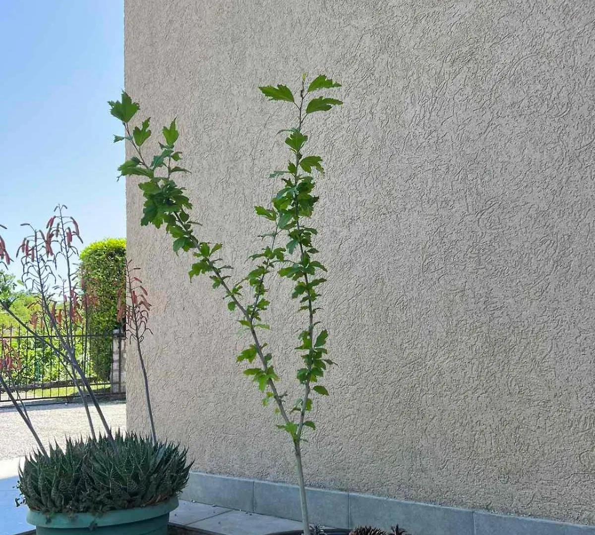 Kuca Za Odmor Viktoria Villa Opatija